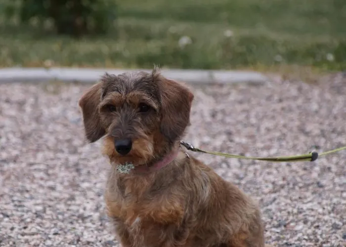 Ferienhaus Silfvastas Homes Lapinjärvi