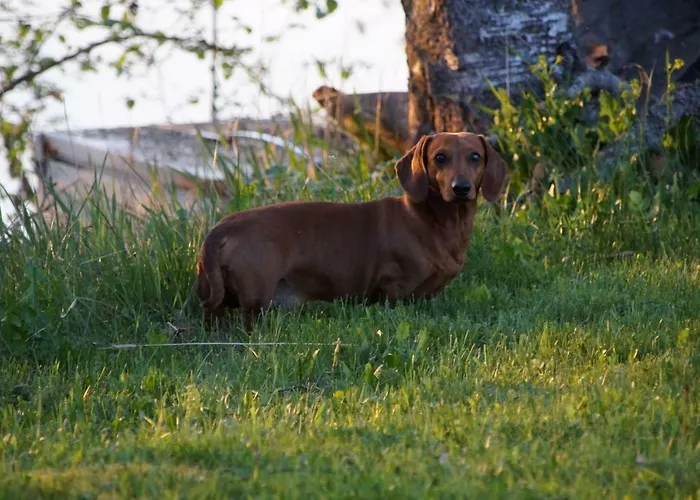 Silfvastas Homes Nyaraló Lapinjärvi